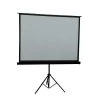 100 in. Portable Projection Screen by ProHT